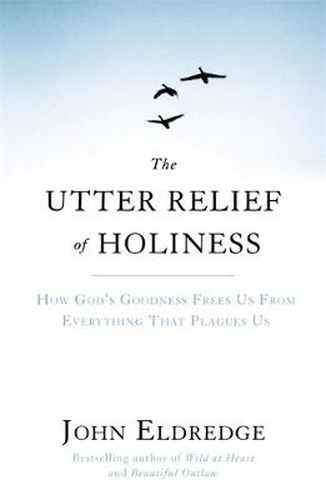 Cover image for The Utter Relief of Holiness: How God's Goodness Frees Us From Everything That Plagues Us