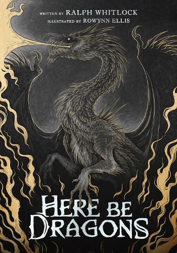 Cover image for Here Be Dragons
