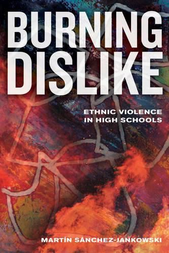 Burning Dislike: Ethnic Violence in High Schools