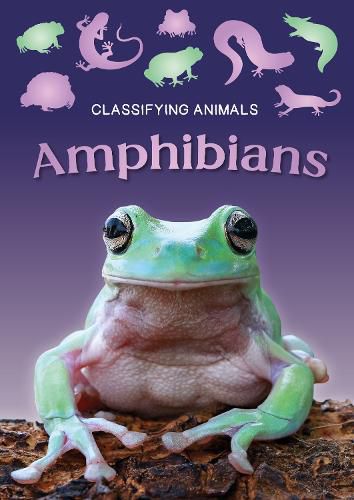 Amphibians