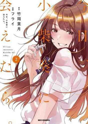 Cover image for Chasing After Aoi Koshiba 2