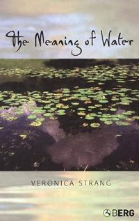 Cover image for The Meaning of Water