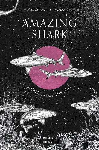 Cover image for Amazing Shark