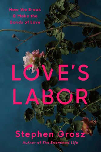 Cover image for Love's Labor