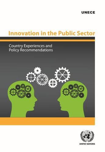 Innovation in the public sector: country experiences and policy recommendations