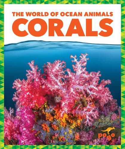 Cover image for Corals
