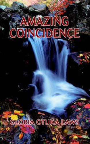 Cover image for Amazing Coincidence