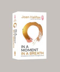 Cover image for In a Moment, in a Breath