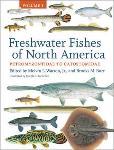 Cover image for Freshwater Fishes of North America: Volume 1: Petromyzontidae to Catostomidae