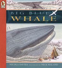 Cover image for Big Blue Whale: Read and Wonder