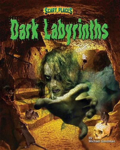 Cover image for Dark Labyrinths