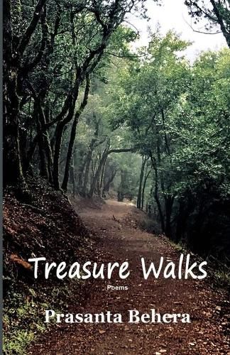 Cover image for Treasure Walks