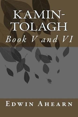 Cover image for Kamin-Tolagh Book V and VI: Book V and VI