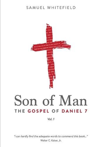 Cover image for Son of Man: The Gospel of Daniel 7