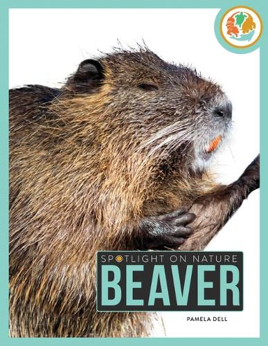 Cover image for Beaver
