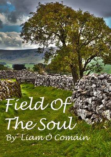 Cover image for Field Of The Soul