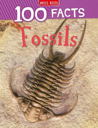 Cover image for Fossils