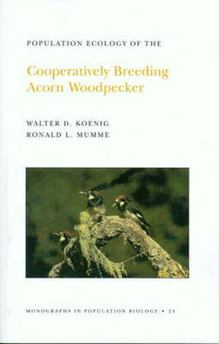 Cover image for Population Ecology of the Cooperatively Breeding Acorn Woodpecker. (MPB-24), Volume 24