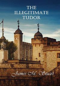 Cover image for The Illegitimate Tudor