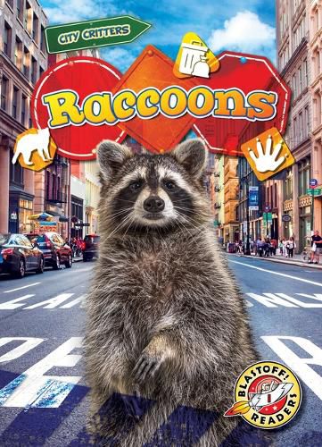 Cover image for Raccoons