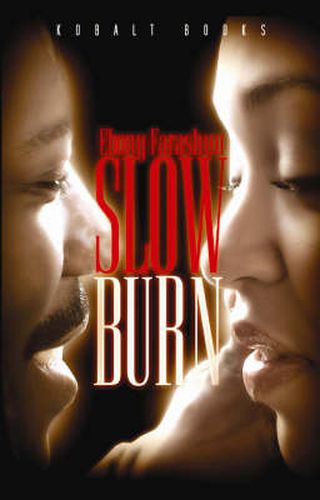 Cover image for Slow Burn