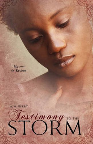 Cover image for Testimony to the Storm