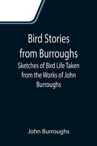 Cover image for Bird Stories from Burroughs; Sketches of Bird Life Taken from the Works of John Burroughs