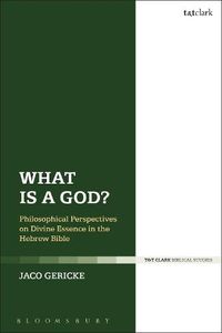 Cover image for What is a God?: Philosophical Perspectives on Divine Essence in the Hebrew Bible