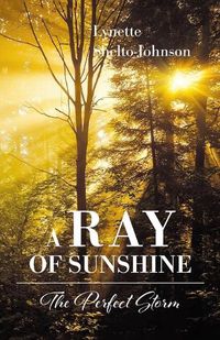 Cover image for A Ray of Sunshine