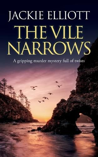 Cover image for THE VILE NARROWS a gripping murder mystery full of twists