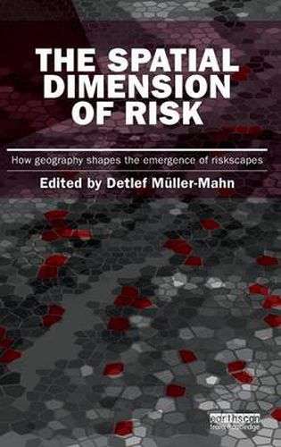 Cover image for The Spatial Dimension of Risk: How Geography Shapes the Emergence of Riskscapes