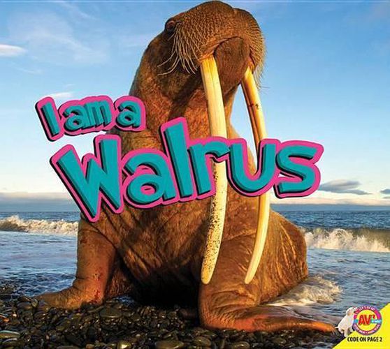 Cover image for I Am a Walrus