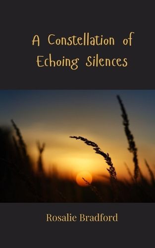 Cover image for A Constellation of Echoing Silences