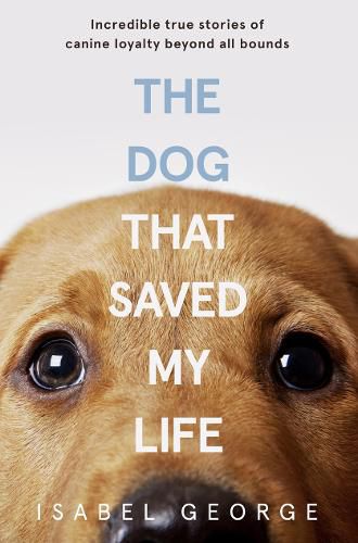 Cover image for The Dog that Saved My Life: Incredible True Stories of Canine Loyalty Beyond All Bounds