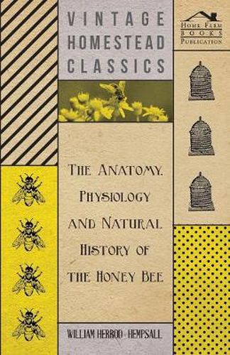 Cover image for The Anatomy, Physiology and Natural History of the Honey Bee