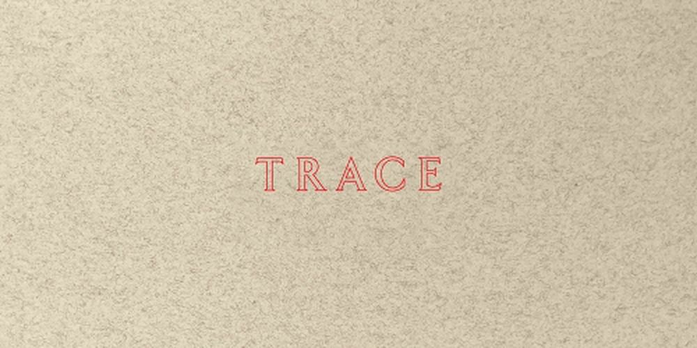 Cover image for Jenny Holzer: Trace