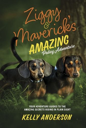 Cover image for Ziggy And Maverick's Amazing Policy Adventure