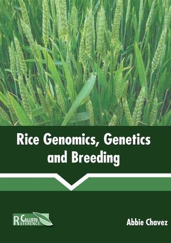 Cover image for Rice Genomics, Genetics and Breeding