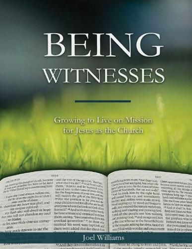 Cover image for Being Witnesses