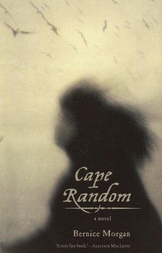 Cover image for Cape Random: A Novel