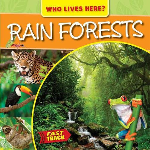 Cover image for Rain Forests