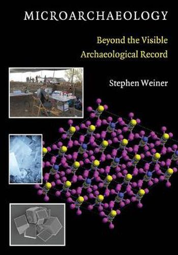 Cover image for Microarchaeology: Beyond the Visible Archaeological Record