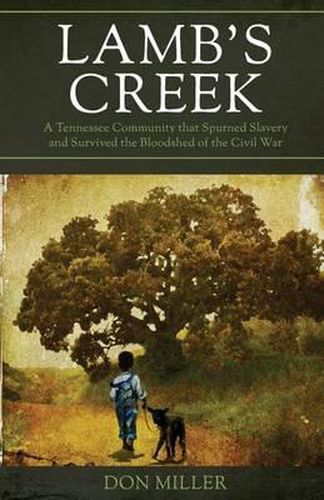 Cover image for Lamb's Creek