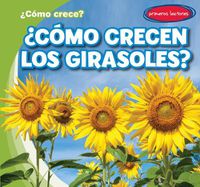 Cover image for ?Como Crecen Los Girasoles? (How Do Sunflowers Grow?)