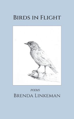 Cover image for Birds in Flight
