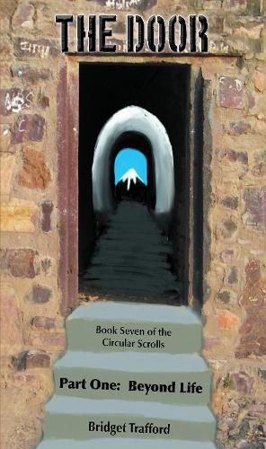 Cover image for The Door