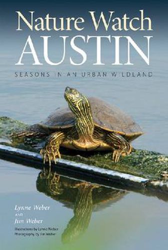 Cover image for Nature Watch Austin: Guide to the Seasons in an Urban Wildland