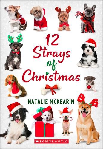 Cover image for 12 Strays of Christmas: A Wish Novel
