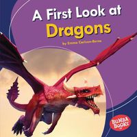 Cover image for A First Look at Dragons