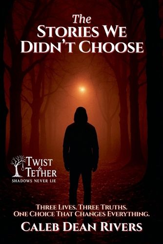 Cover image for The Stories We Didn't Choose